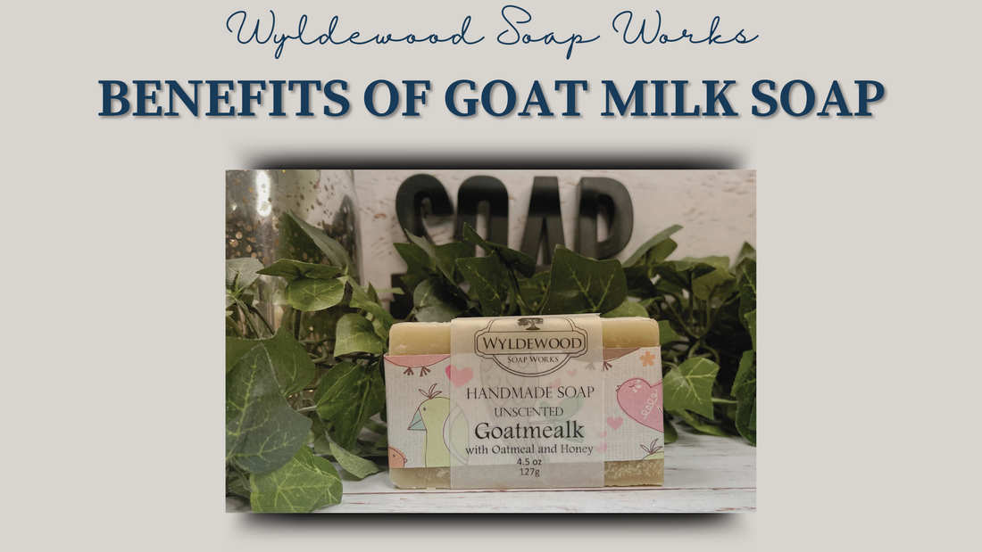 Benefit of goat milk soap
